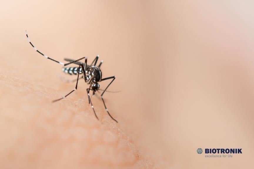 Dengue