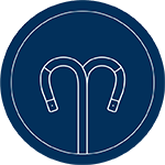 Transseptal Icon