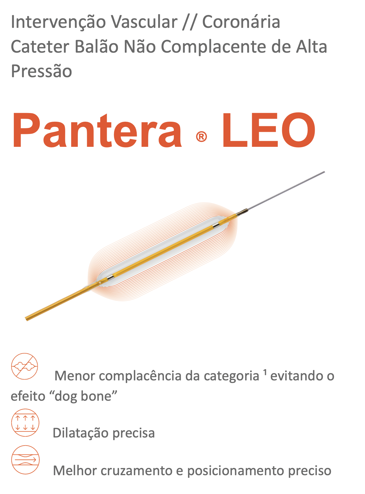 Pantera Leo
