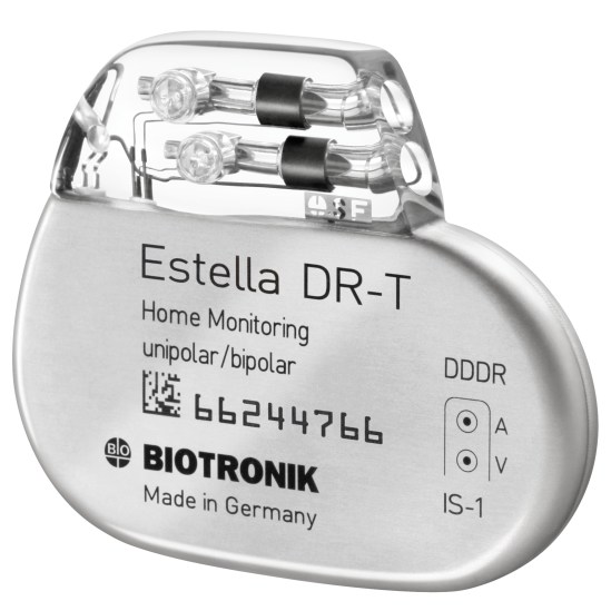 Estella DR-T