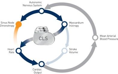 How CLS works