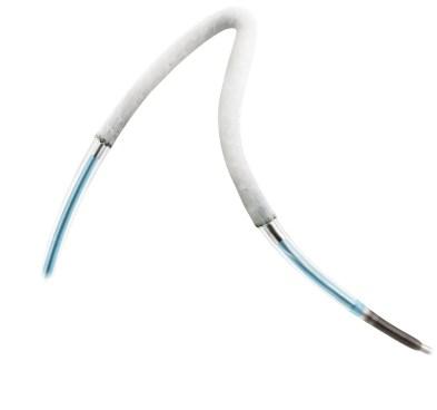 PK Papyrus Covered Coronary Stent